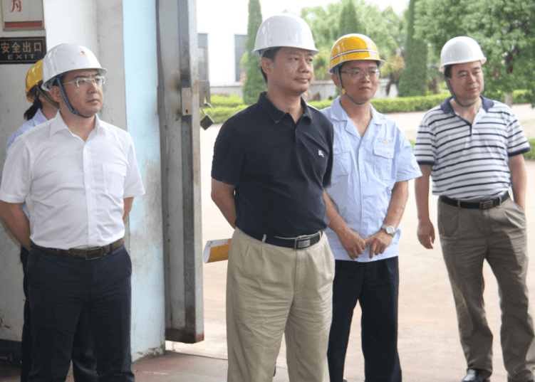 金环公司与鞍钢集团公司开展合作对接工作